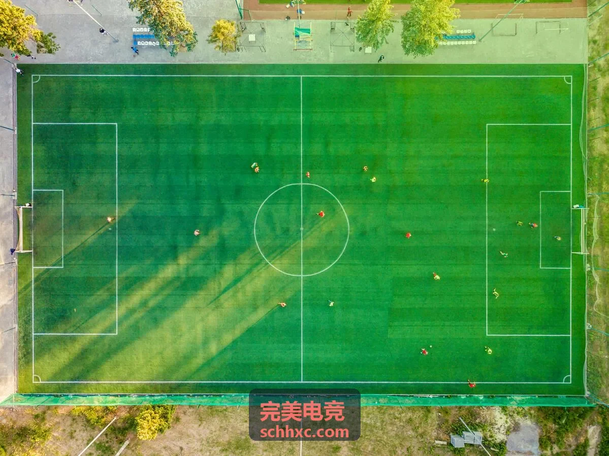 完美电竞职业教练1对1