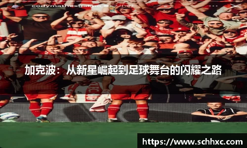 三亿体育