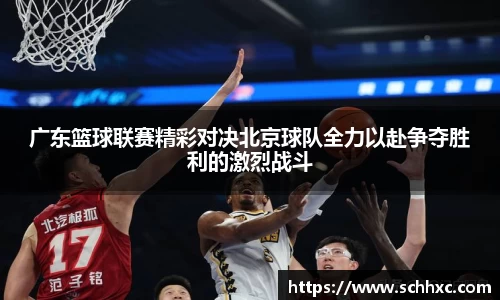 三亿体育