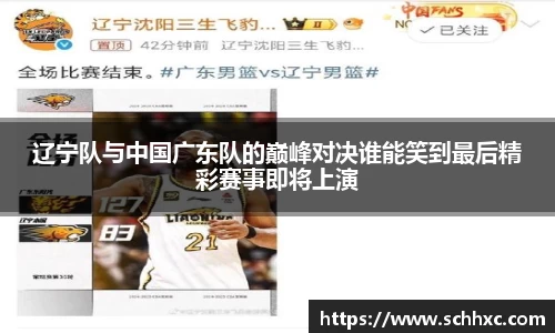 三亿体育官方网站